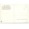 n°14796 - Arthur Thiele - Teddyschule : Gesangstunde - Teddy Bear - violon