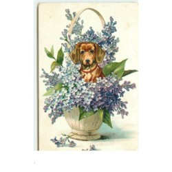 n°14799 - Carte Gaufrée -...