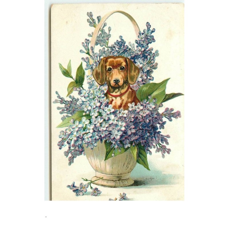 n°14799 - Carte Gaufrée - Teckel dans un panier rempli de fleurs lilas