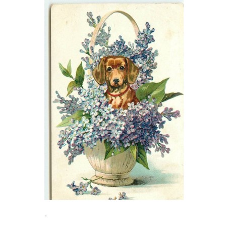 n°14799 - Carte Gaufrée - Teckel dans un panier rempli de fleurs lilas