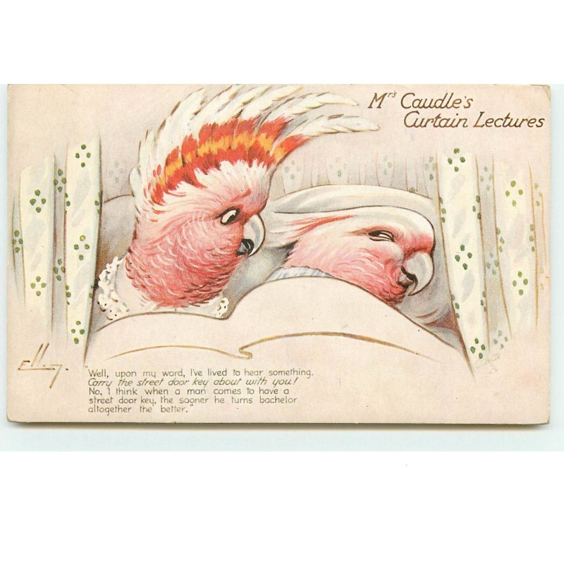 n°14920 - Ellam  Mrs Caudle's Curtain Lectures - Couple de perroquet dans un lit - ara