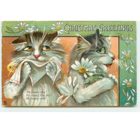 n°14923 - Maurice Boulanger - Christmas Greetings - Chats avec des marguerites