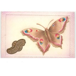 n°14946 - Carte en relief -...