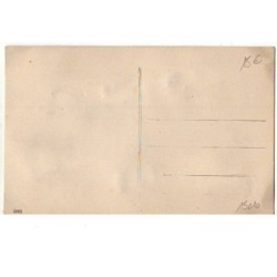 n°15010 - Carte en Relief - Deux chats, un noir et un blanc avec des noeuds en velours