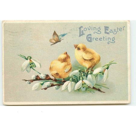 n°15096 - Carte Gaufrée - Loving Easter Greeting - Poussins sur des fleurs regardant un papillon