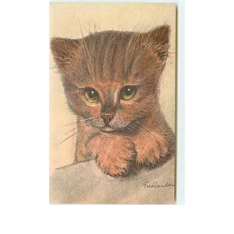n°10500 - Carte Fantaisie - Chat - Chaton