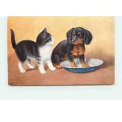 n°15137 - Chat et Teckel...