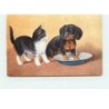 n°15137 - Chat et Teckel avec ses pattes dans un plat