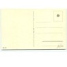 n°10500 - Carte Fantaisie - Chat - Chaton