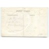 n°15191 - Carte Gaufrée - Welcome Easter Greeting - Lapins mangeant une carotte