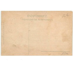 n°15246 - Carte Fantaisie - Stastny a Vesegy - Novy Rok 1920 - Attelage de Cochon