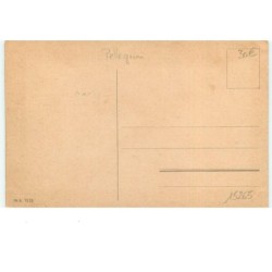 n°15265 - Pellegrini - Bern - Attelage de chiens