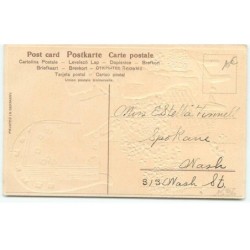 n°15336- Carte Gaufrée - Happy New Year - Garçon devant un éphémeride