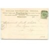 n°15338 - Carte Gaufrée - Prosit Neujahr - Couple