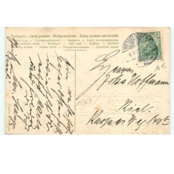 n°15367 - Carte Gaufrée - Fröhliche Ostern - Ange jouant du piano devant des poussins chantant - Myosotis