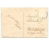 n°15385 - Carte Gaufrée  Glückliches Neues Jahr - Chien regardant une fillette