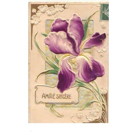 n°15400 - Carte en relief - Amitié Sincère - Iris