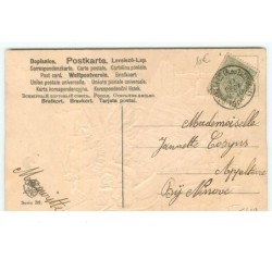 n°15419 - Carte Gaufrée  - Bonne Année - Couple déguisé, et tenant des coupes de champagne