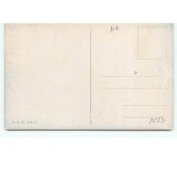 n°10523 - Carte Fantaisie - Z powinszowaniem Nowego Roku ! - Angelots, cochons