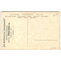 n°15491 - Carte Gaufrée - Enfants cachés dans une malle en osier