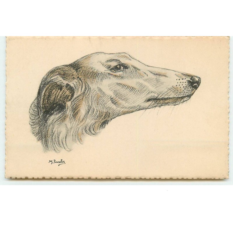 n°15509 - Jacobs - Tête de lévrier