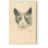 n°15512 - Jacobs - Tête de Chat