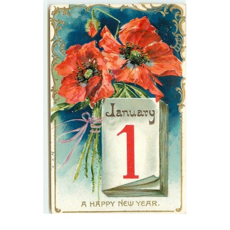n°15529 - Carte Gaufrée - A Happy New Year - Coquelicots
