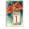n°15529 - Carte Gaufrée - A Happy New Year - Coquelicots