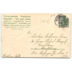 n°15636 - Carte Gaufrée - Fröhliches Neujahr - Cigogne prenant des bébés dans une mare