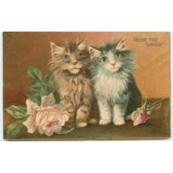 n°15947 - Boulanger - Rose...