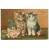 n°15947 - Boulanger - Rose Thé - Grâce - Chats et roses