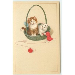 n°15948 - Chats dans un...