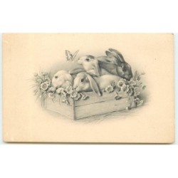 n°16008 - MM Vienne n°576 -...