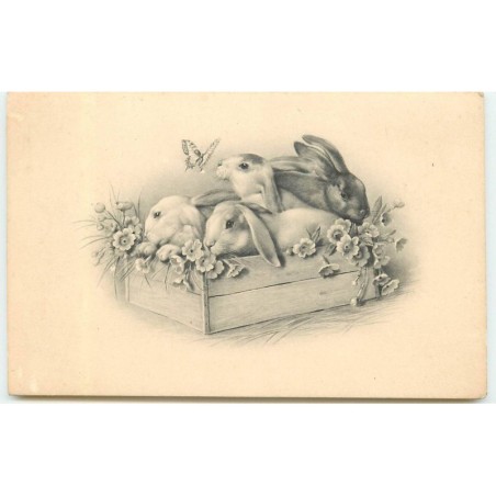 n°16008 - MM Vienne n°576 - Lapins dans une caisse