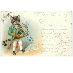 n°16240 - Chat habillé...