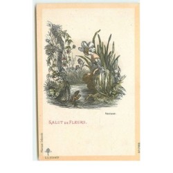 n°16310 - Salut de Fleurs -...