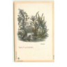n°16310 - Salut de Fleurs - Narcisse - G.G. Benner - Surréalisme