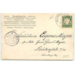 n°16393 - Postkarte mit Rosenduft - Fillette se cachant derrrière des fleurs