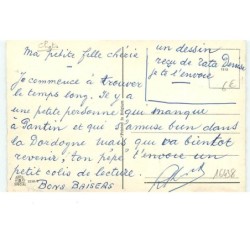n°16438 - Fête foraine chez les chats - chat - teckel