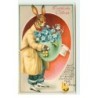 n°16490 - Carte Gaufrée - Fröhliche Ostern - Lièvre habillé apportant un oeuf rempli de myosotis