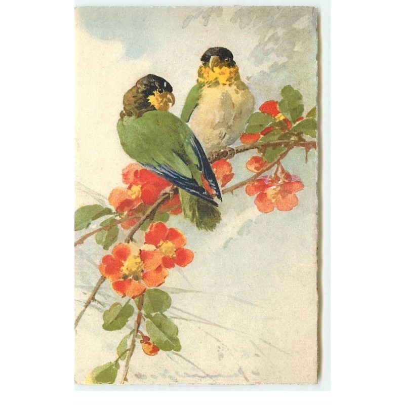 n°16505 - C. Klein - Oiseaux sur une branche fleurie