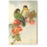 n°16505 - C. Klein - Oiseaux sur une branche fleurie