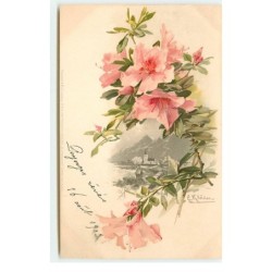 n°16508 - C. Klein - Fleurs...