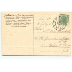 n°16878 - Carte Gaufrée - Prosit Neujahr - Cochon à une fenêtre avec des pièces d'or, des trèfles, et des lettres
