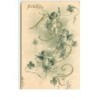 n°16989 - Carte Gaufrée - Gelukkig 1902 - Angelots avec une guirlande de trèfles