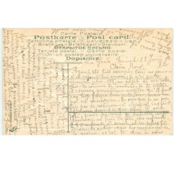 n°16997 - Carte Gaufrée - Souvenir - Garçon chassant des papillons