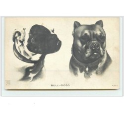 n°1701 - Bull-Dogs -...