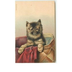 n°10644 - Carte Fantaisie...