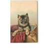 n°10644 - Carte Fantaisie Gaufrée -  Chien sortant d'un panier