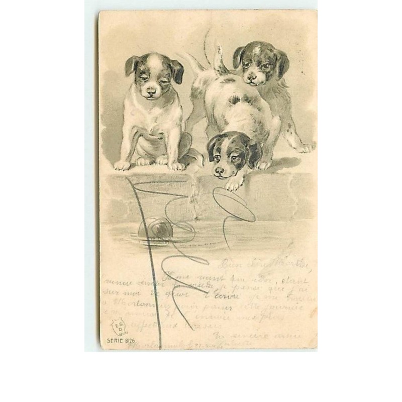 n°10646 - Carte Fantaisie Gaufrée - Chiots
